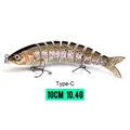 100mm 10g C2