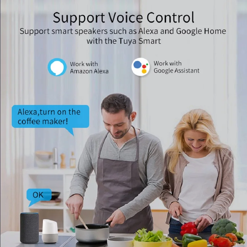 Smart Zigbee EU Plug with Power Monitoring, Timer, and Child Lock - Voice Controlled