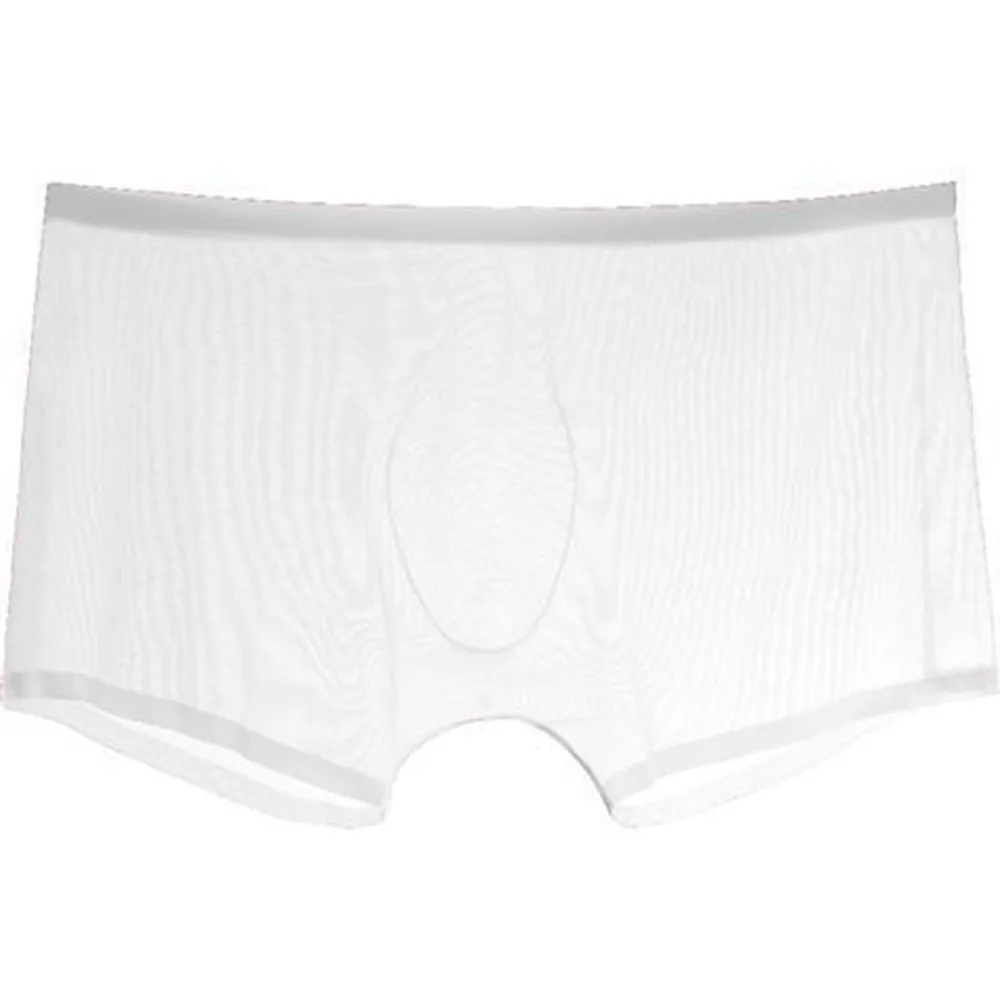 Transparent Boxers for Men See Through Male Underpants Sexy Low Waist Panties Lingerie Intimates