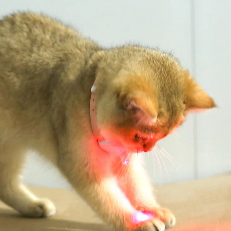 Laser Cat Collar Teasing Cat Electric USB Charging Kitten Automatic Cats Toy Smart Laser Teasing Cat Interactive Toy 6