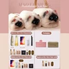 Women Exquisite Shoulder Underarm Bags Siamese Cat Bag Plush Cute Plush Crossbody Bag Female Winter Autumn Handbags Hot 6
