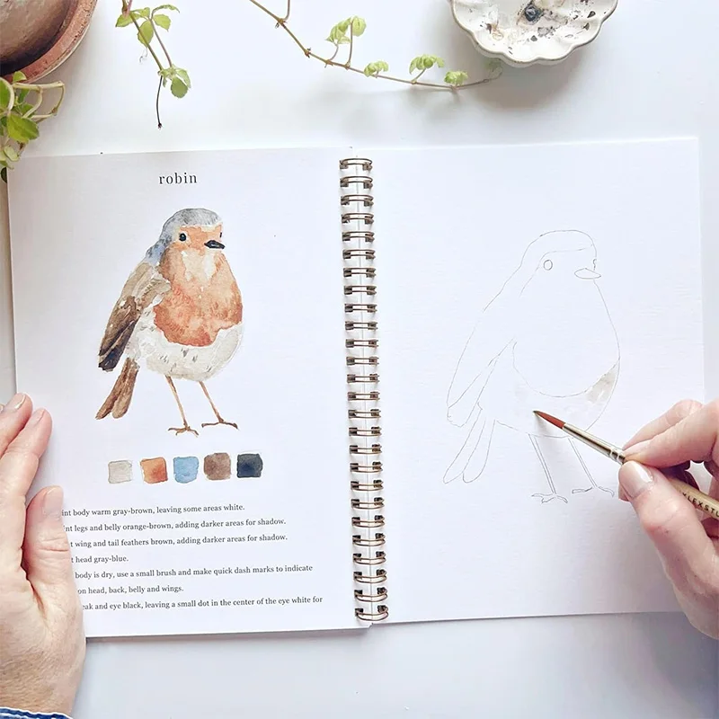 Watercolor Workbook Beginner Friendly Bird Watercolor 12 Color Paint Set With Brushes Art And Craft Painting Supplies