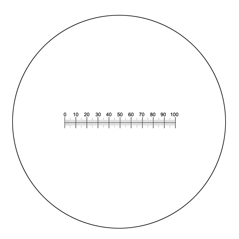 Ocular And Stage Micrometer | ppgbbe.intranet.biologia.ufrj.br