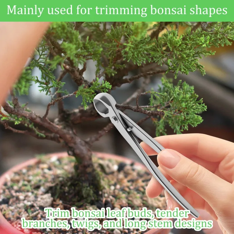 Practical Bonsai Beauty Set Stainless Steel Wear Resistant Bonsai Tree Set Tool Time Saving Trimming Set Ergonomic Long Handle
