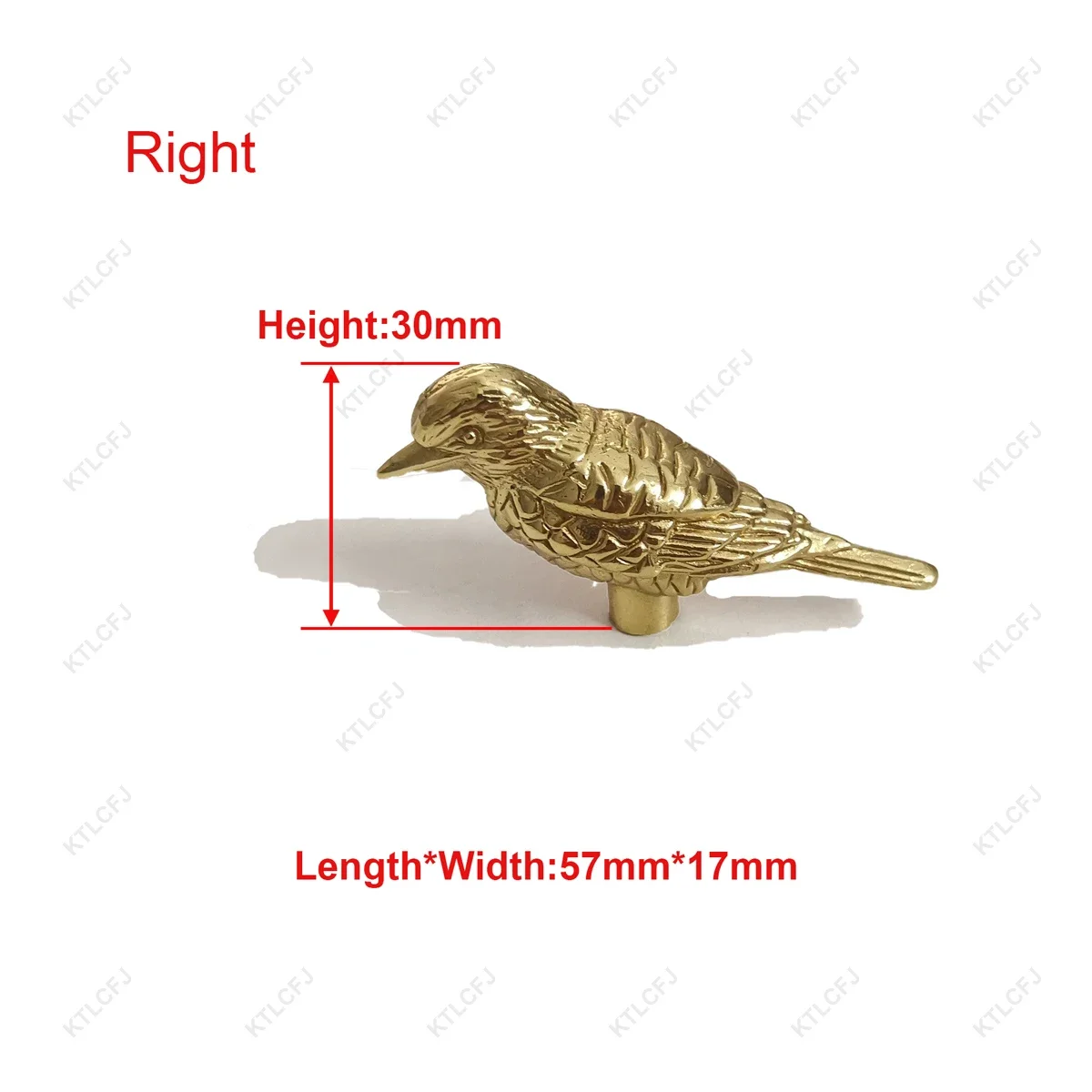 Bird7-Right