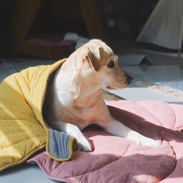 Leaf Pet Mat