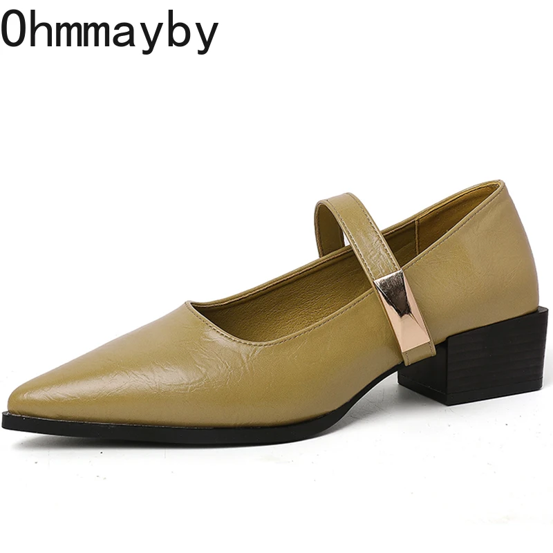 Pointed Toe Low Heel Women Mary Jane Shoes Fashion Shallow Buckle Shoes Ladies Elegant Dress Street Style Shoes 6