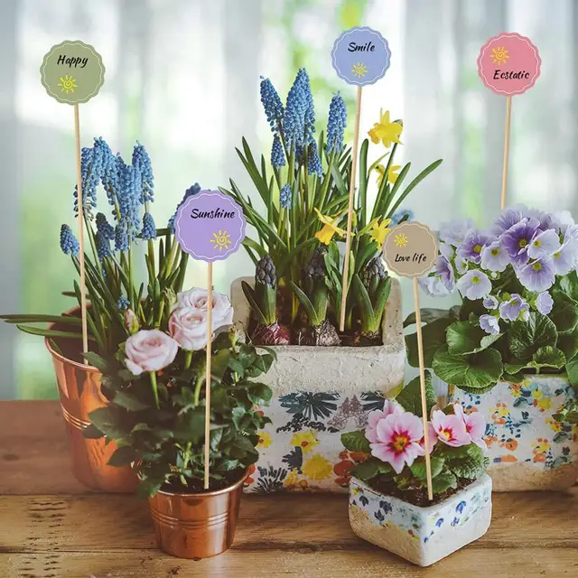 50 db Egyedi Növénynövekedés Tét Bambusz Virágüzem Támogató Többcélú Növényi Mászó Kerti Rácsos Virágok Állványok - Image 5