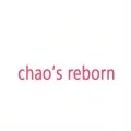 AlitaDoll Reborn Store