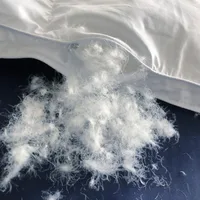 Winter Cotton Goose Down Duvet – Super Soft & Fluffy