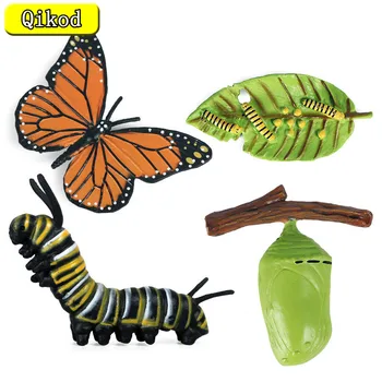 Kids Cognitive Educational Toys Simulation Animal Insect Model Mini Animal Butterfly Growth Cycle Ornaments 1