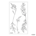 Image 21