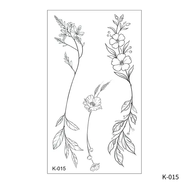 Image 21