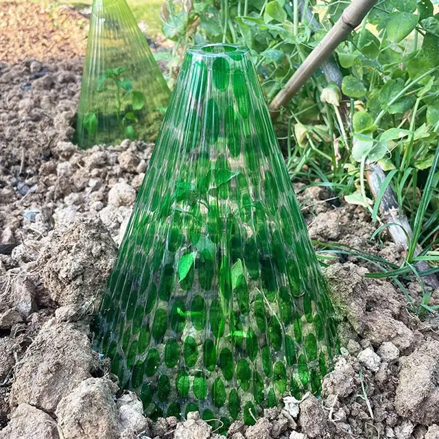 Kerti Cloche Átlátszó Egymásra Rakható Maximális Fényhatás Növény Növekedése Újrafelhasználható A Nap Üvegházhatású Növények Ellen - Image 2