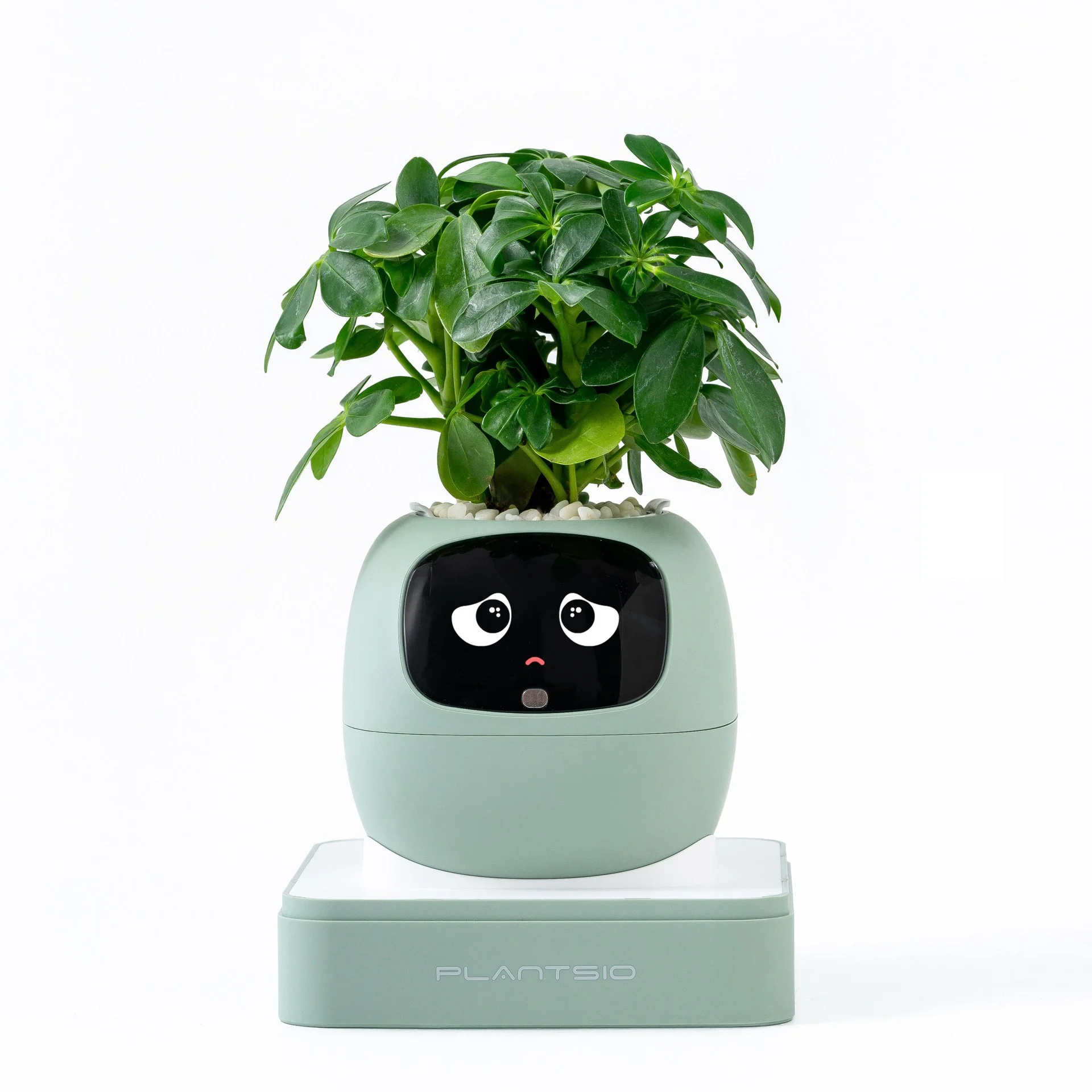 รูปสินค้า กระถางปลูกอัจฉริยะ Smart Garden ปลูกง่าย สนุก ดูแลได้ทุกวัน