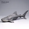 Shark-9