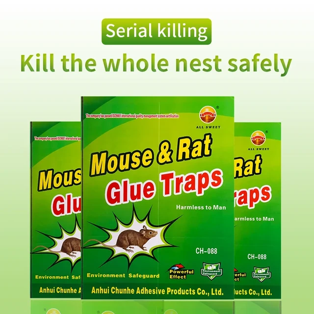 Rat, Mouse, Snake & Insect Glue Trays 12 Count