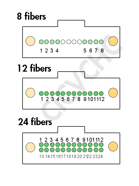 2pcs 12 Fibers MPO/UPC LC/UPC SC/UPC Harness cable OM3 OM4 0.35m 0.9mm colored tube Elite Low Loss Male Female