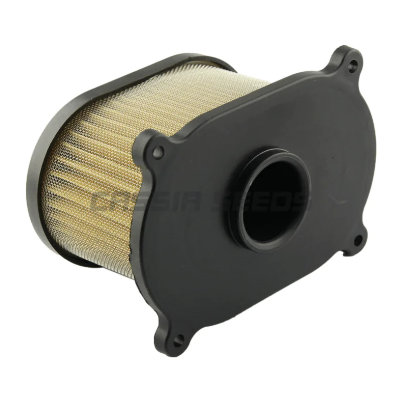 Motorcycle air intake filter suitable for Suzuki SV650 1999 2000 2001 2002 air filter motorcycle air filter air filter cleaner