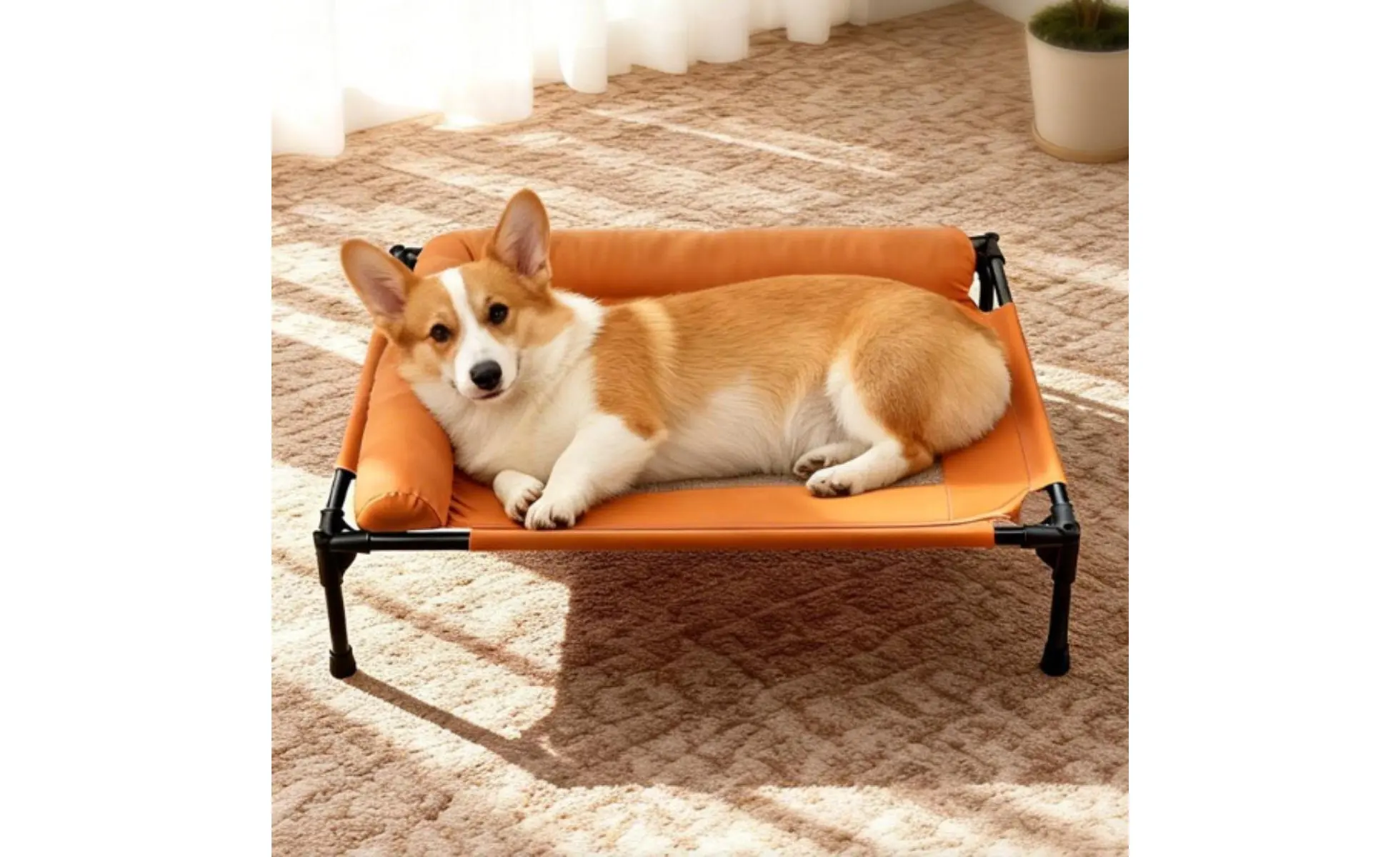 Elevated Dog Bed with Pillow Border Firm Support Elevated Dog Bed L-Shaped Pet Lounger All Seasons Use Cooling Mesh Pet Cot