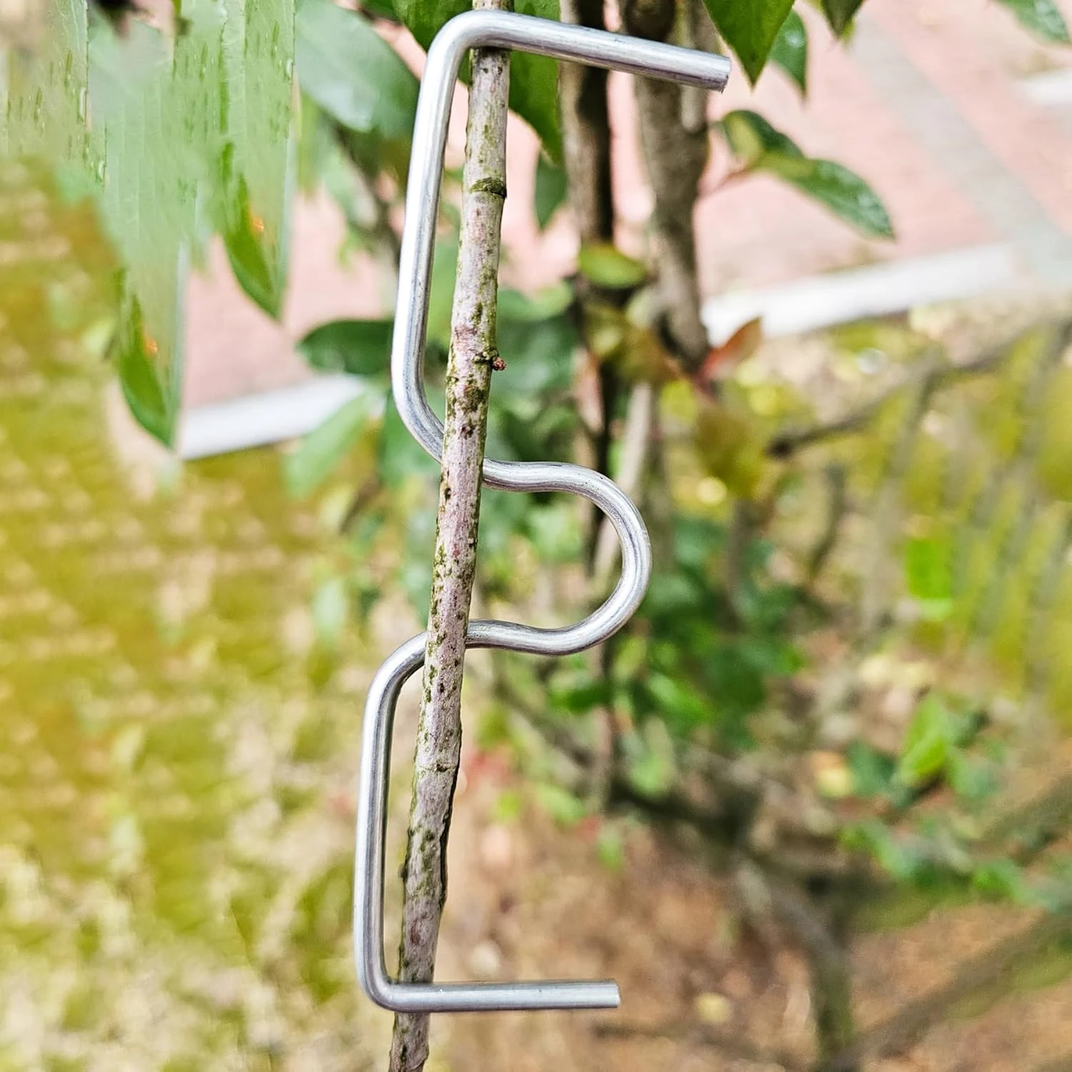 Fruit Tree Branch Shape Fixator Tree Branch Fixator Garden Yard Trees Support Holder Plants Vine Trainers M-Shaped Steel Wire Branch Bending Tools