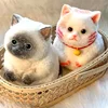 Big Kitty Cat Taba Squeeze Silicone Handmade Squeeze Toy Super Big Cat Fuzzy Kitten Mochi Toy Hand Relax Stress Release Gift 3