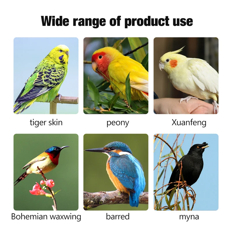 Parrot Perching Station Platform Pet Bird Molar Stick Grinding Bird Claw Cage Toy Pet Supplies 1Pcs parrot toy,bird toy,bird perch stand