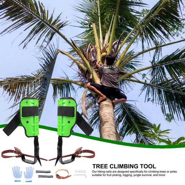 Climbing Spikes Anti Slip Adjustable Steel Tree Climbing Tool Comfortable  Multifunctional Outdoor Gear For Picking Fruit Hunting - AliExpress