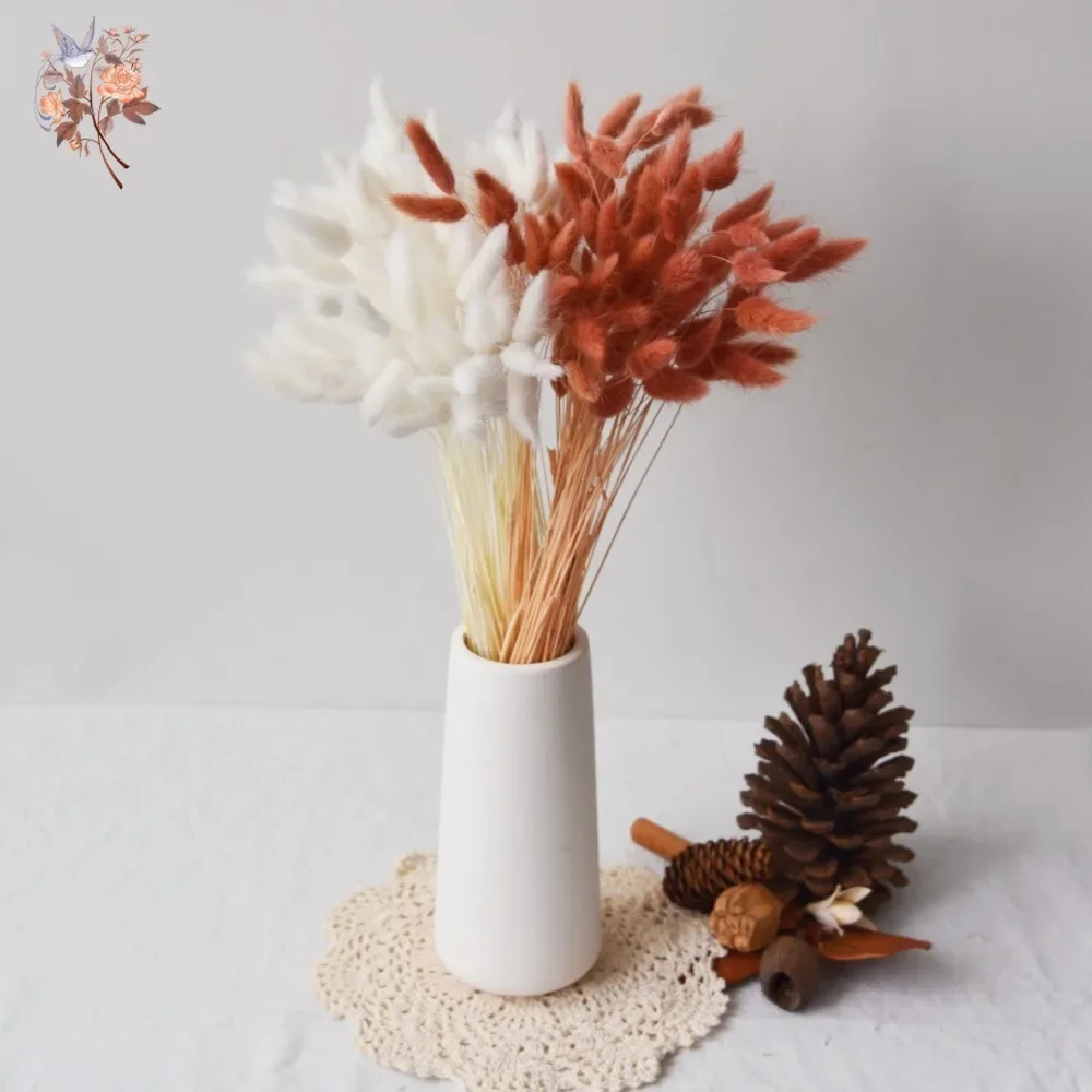 

120Pcs Natural Mix Bunny Rabbit Tail Grass Wedding Floral Pampas Dried Flower Bouquet Lagurus Ovatus Home Christmas Decoration