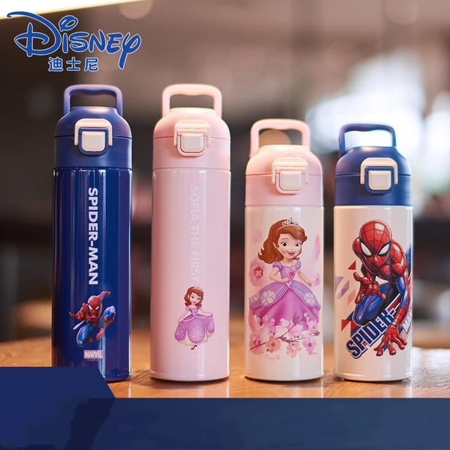 Disney Marvel Thermos Water Bottle 316 Stainless Steel Cup Cartoon