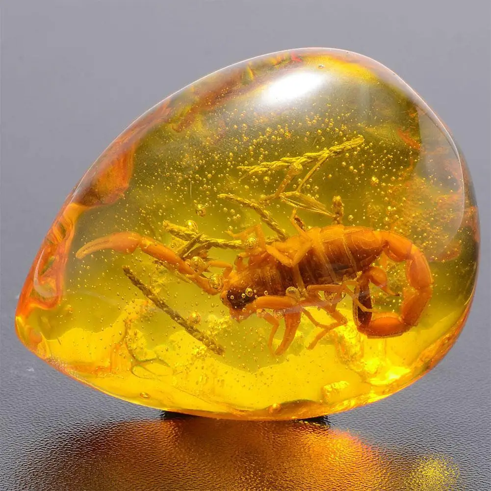 Insect Stone Natural Scorpions Inclusion Amber Baltic Stone DIY Home Decorative Wedding Pendant Party Necklace Gift V6P4