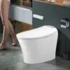 Smart Toilet Bidet Heated Seat  Integrated Multi Function, Tankless Toilet Smart Bidet Automatic Flushing Remote Control 3