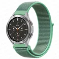 Spearmint 31