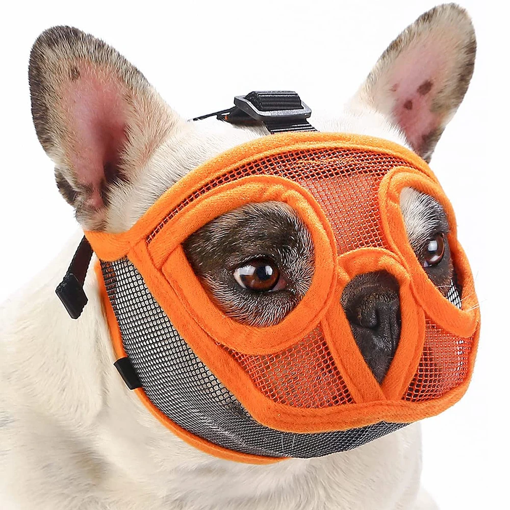 A Muzzle For Dogs Eating Poop