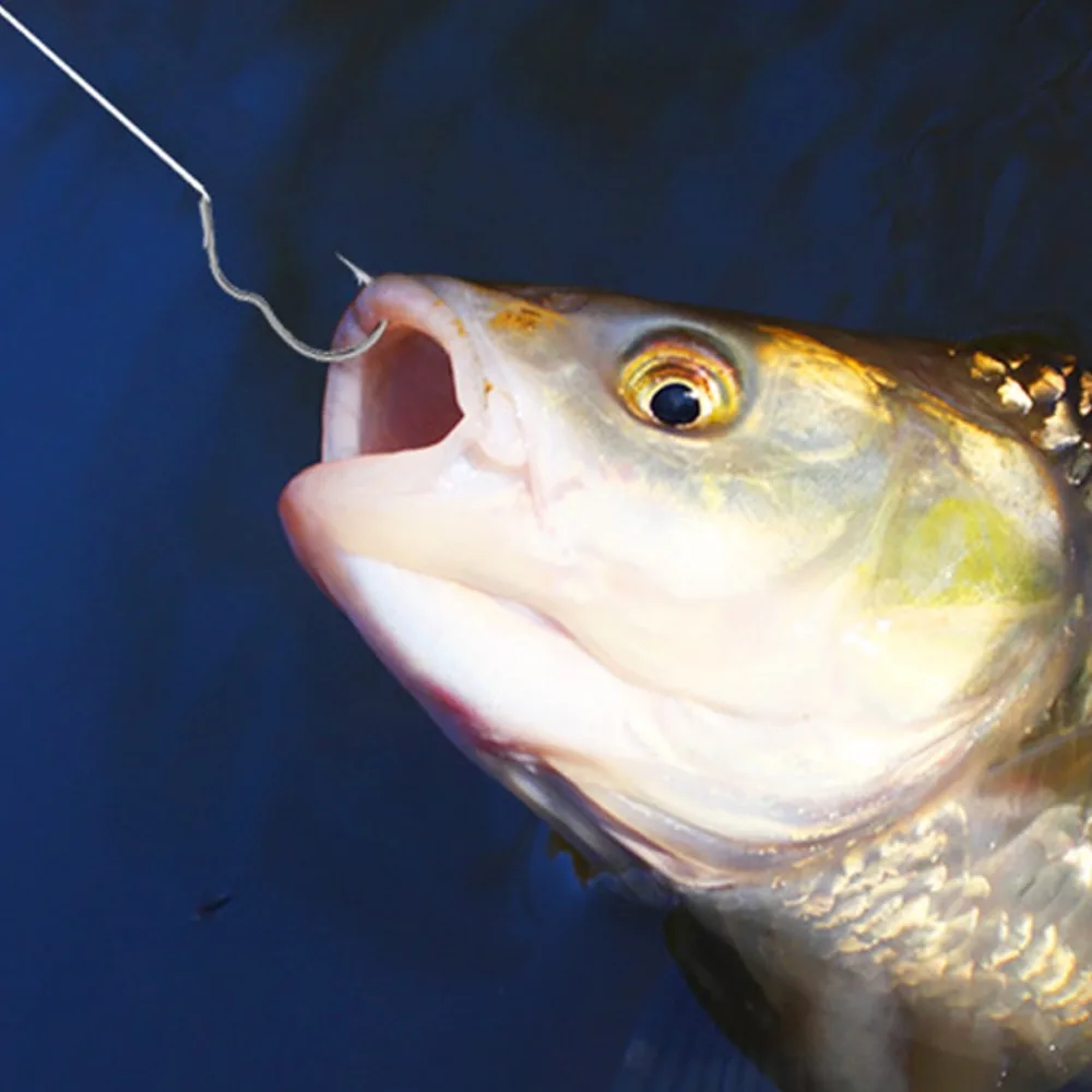 Рисунок 4 - Рыболовный крючок из высокоуглеродистой