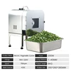 110V/220V Automatic Vegetable Cutter Parsnip Carrot Scallion Dicing Machine Vegetable Cutting Machine Commercial Electric Slicer 6