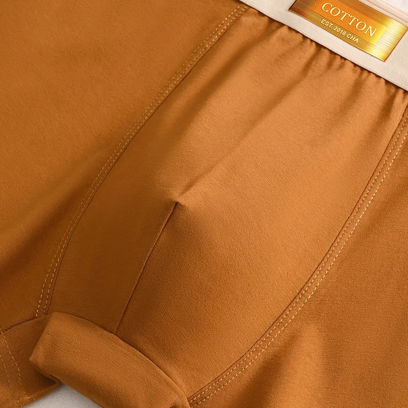 Men Underwear 3pcs Cotton BoxerShorts Hombre Panties Man Breathable Underpants Sexy Sports Comfort Male Boxers Large Size L-6XL