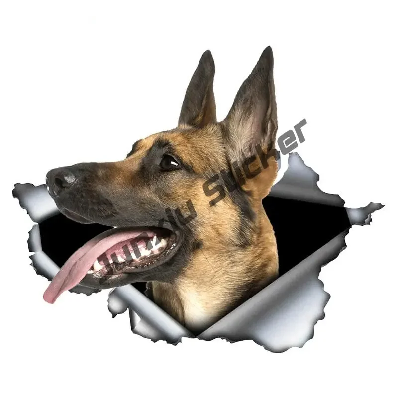 Belgian Malinois Window Decal - Clear Vinyl Car Sticker Of Mechelaar Shepherd Dog