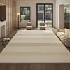 Modern Simple Living Room Decoration Carpet Home Bedroom Bedside Large Plush Carpets Light Luxury Cloakroom Soft Non-slip Rug 3