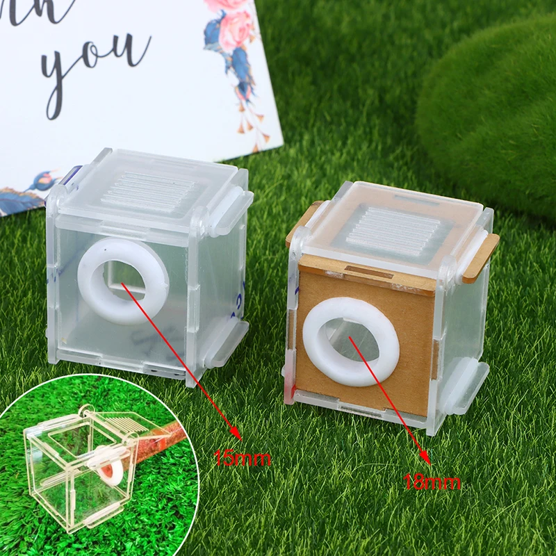 

Square Ant Nest Transparent Activity Area Acrylic Ant Farm Climbing Pet Feeding Box
