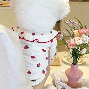 귀여운 레이스 딸기 강아지 옷 스커트, 애완 동물 테디 여름 옷, 스쿠너 통기성 옷, 강아지 과일 조끼, 강아지 액세서리
