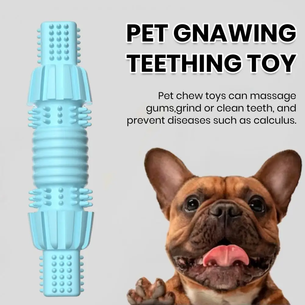 

Pet Toy Durable Dog Chew Toy Stress Relief Energy Release Teeth Ideal for Chewers Small to Medium Breeds Indoor Outdoor Pet Toy