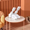 Shoe Dryer Heater Deodorizer Dehumidifier Machine Home Portable Smart Electric Shoe Drying Foot Warmer Winter Сушилка Для Обуви 1