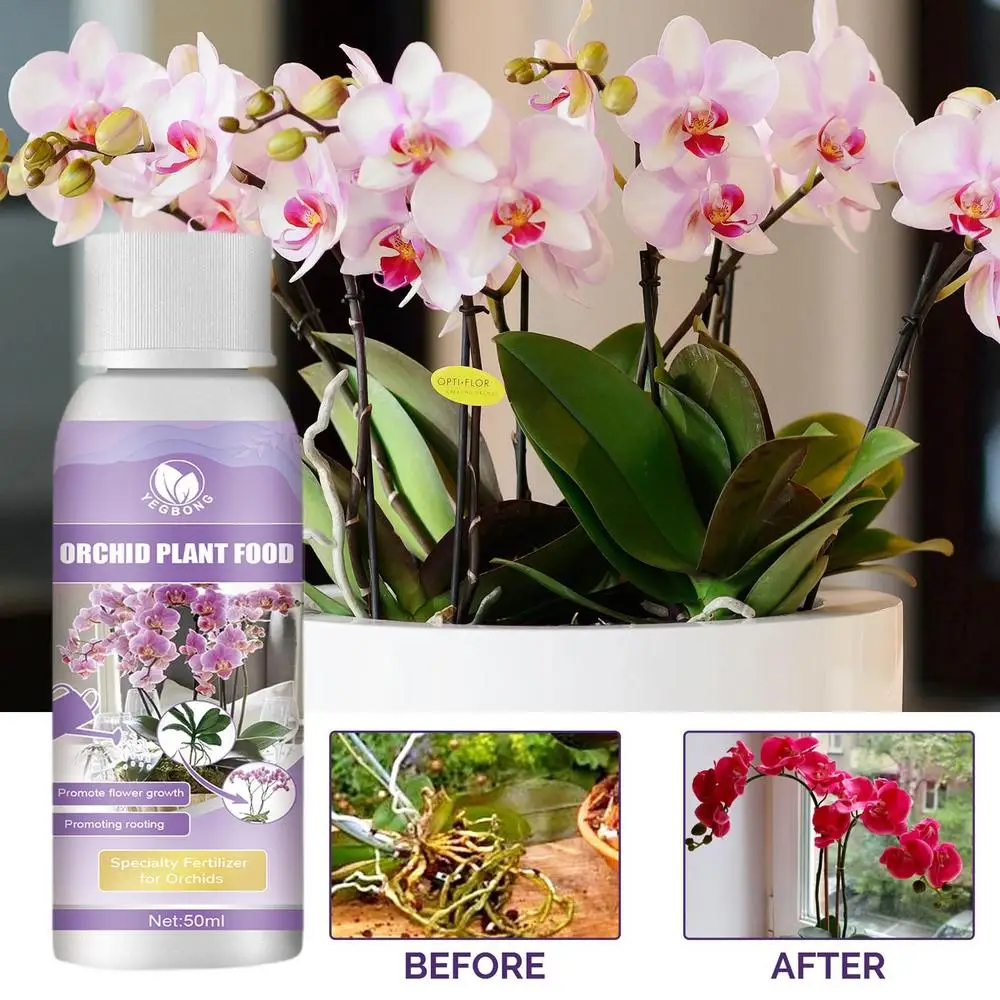 Description Picture 4 of item50ml Orchid Special Fertilizer Rooting Liquid Orchid Liquid Fertilizer Agent Potted Plant Food Supplement Organic Fertilizer