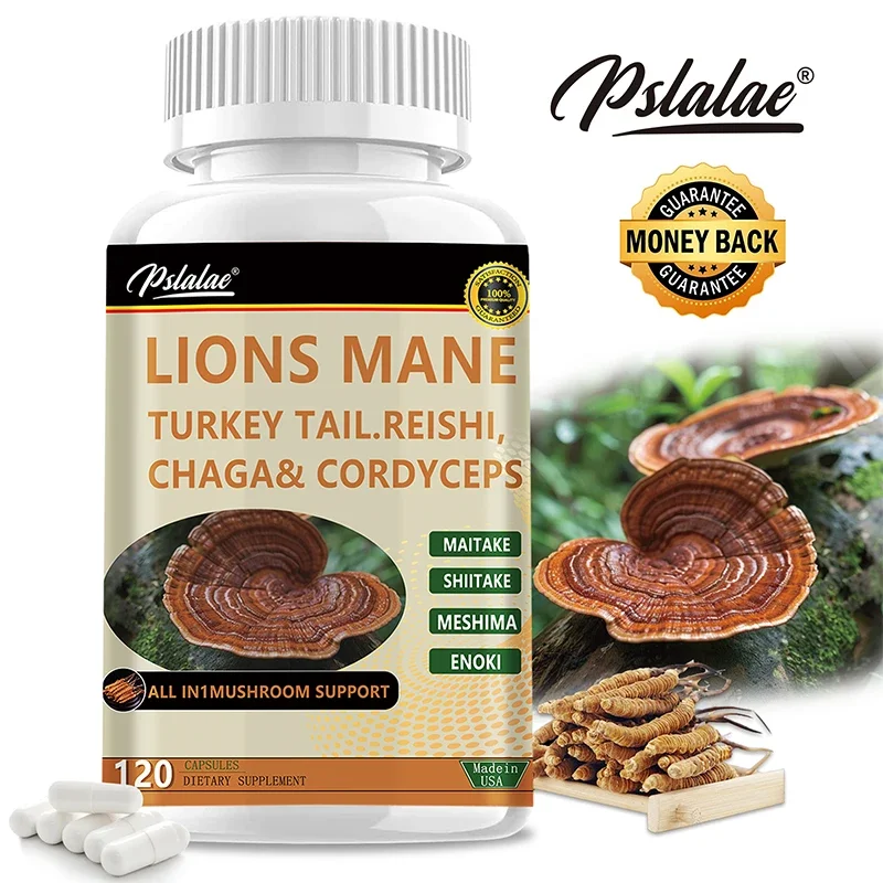 Lion's Mane Benefit Brain & Memory Immune Gain Energy Support Mood and Stress