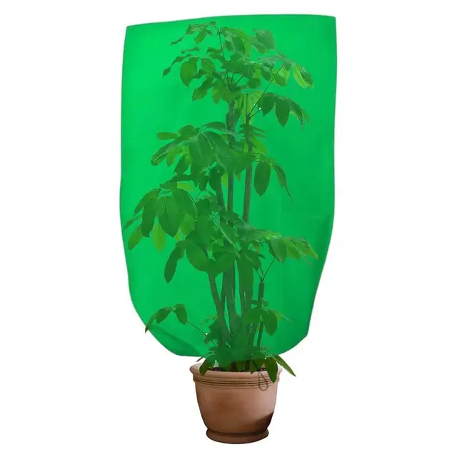 A Növényi Fagyvédelem Lefedi Növények Fagyvédését Téli Fagyban.