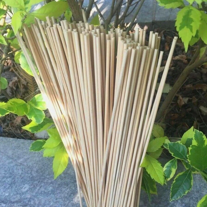 Bamboo skewer 50pcs Plant Support Garden Wooden Sticks Professional Bamboo Plants 40cm Canes Flower