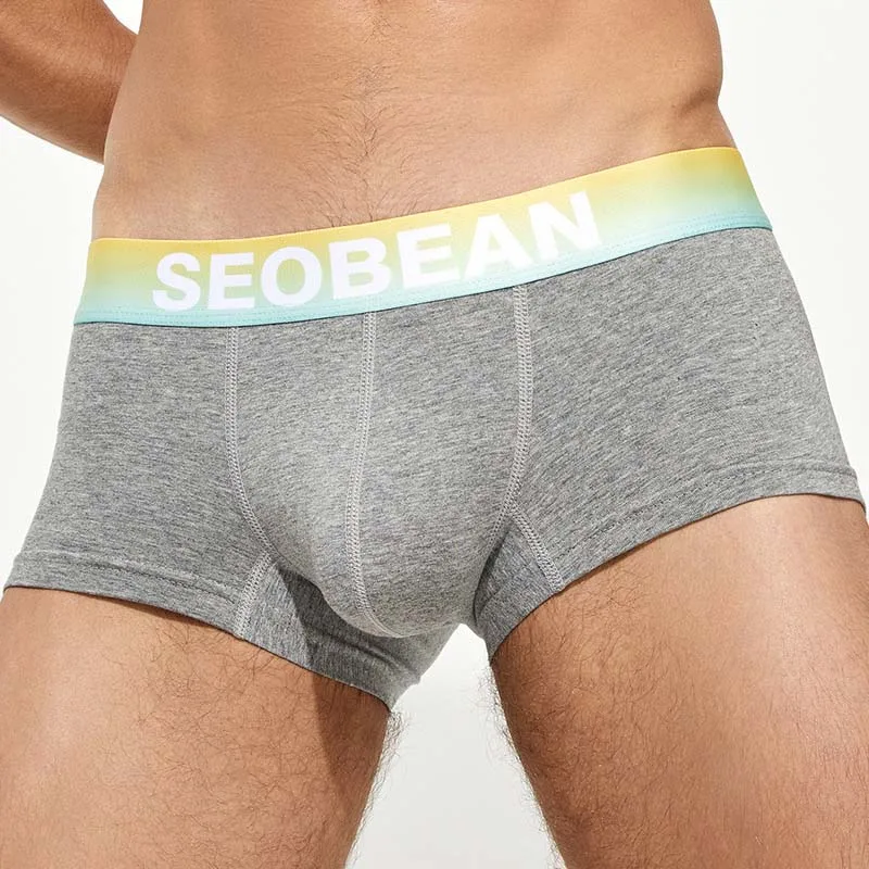 YWSNHMY Underwear Men's Boxers Breathable Cotton Boxer Shorts Sexy Bulge Penis Pouch Slips Homme Panties Low-rise Male Lingerie 6