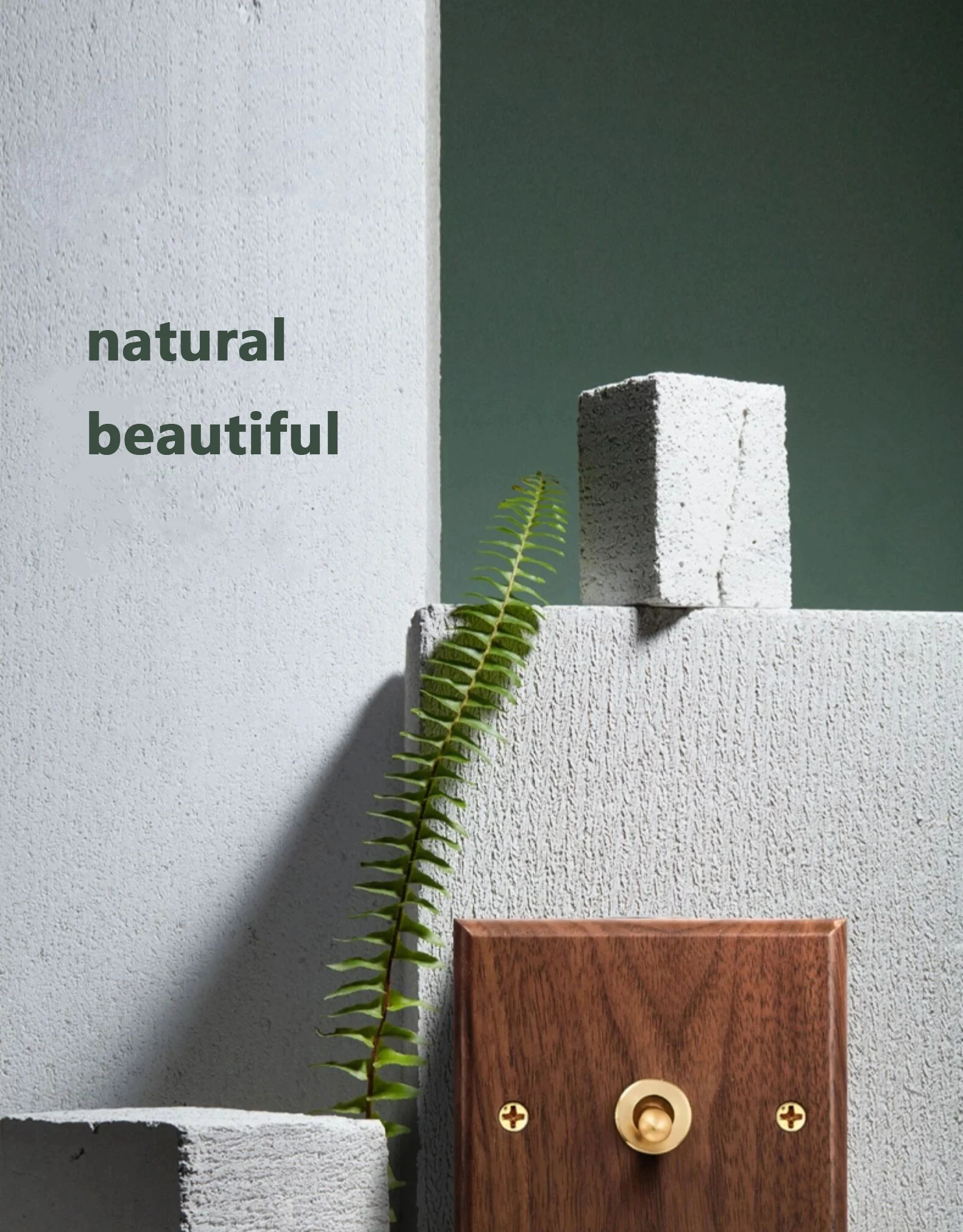 solid wood retro light switch close up