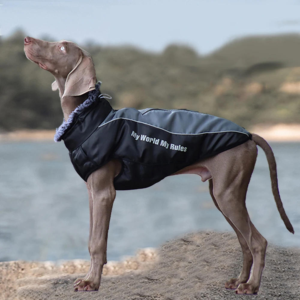 Madden zimowa XL-6XL ubrania dla dużych psów wodoodporna dużego psa kamizelka z wysokim kołnierzem ciepła peleryna dla psa odzież